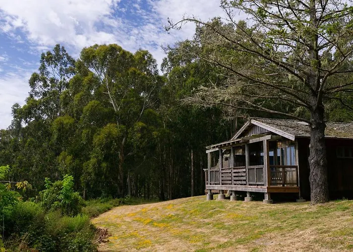 Costanoa